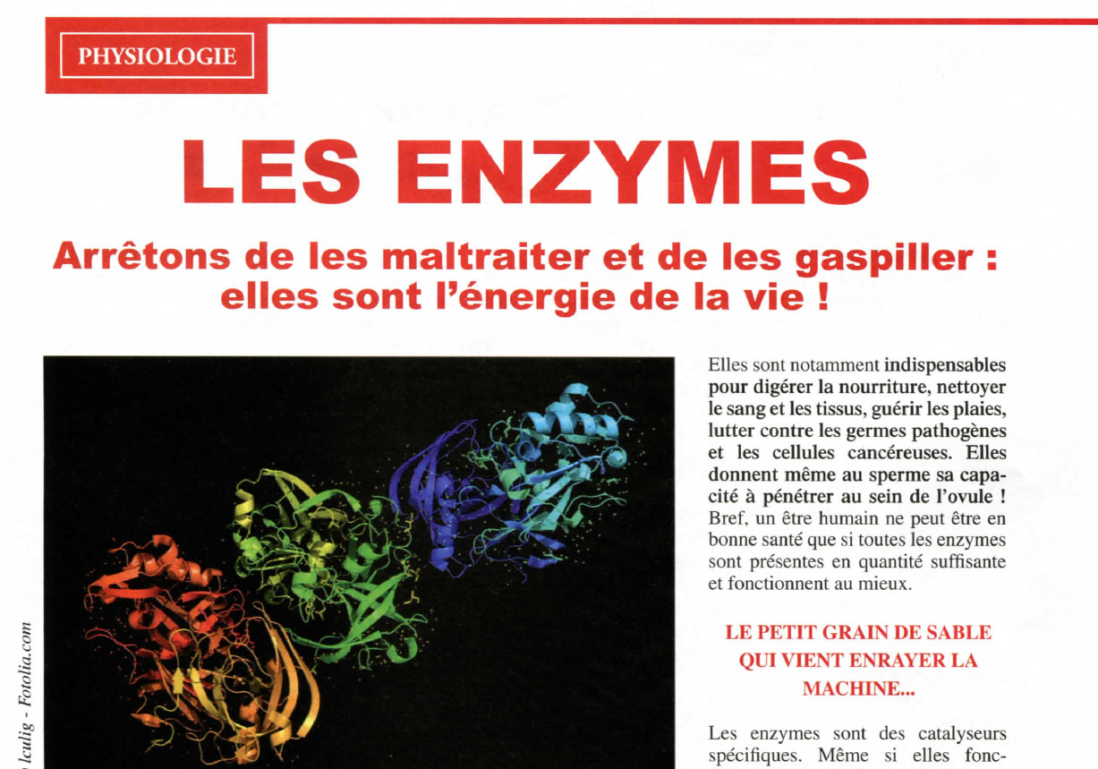 Guide le rôle des Enzymes Nature à Coeur