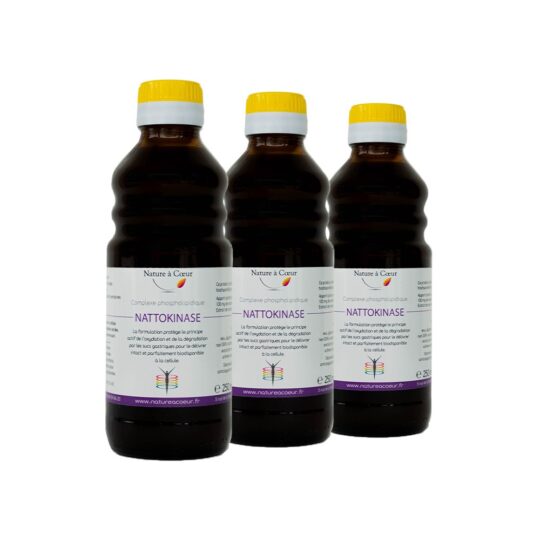 Lot de 3 Nattokinase liposomales liquides